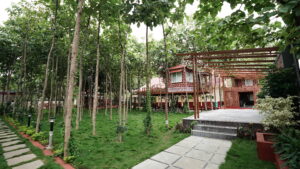 tectonatreetopmansion-best place to stay in hyderabad for couples